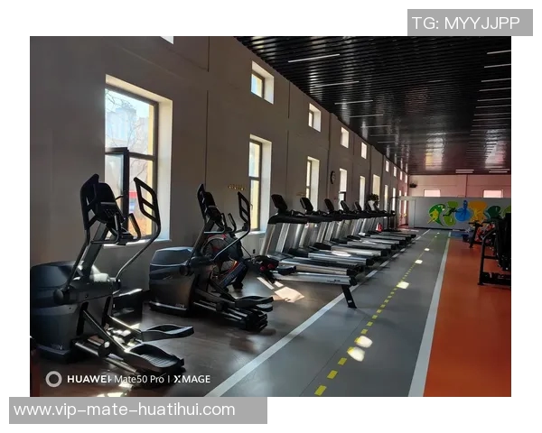 探索健身器材加盟新机遇助力创业者实现财富梦想